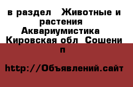  в раздел : Животные и растения » Аквариумистика . Кировская обл.,Сошени п.
